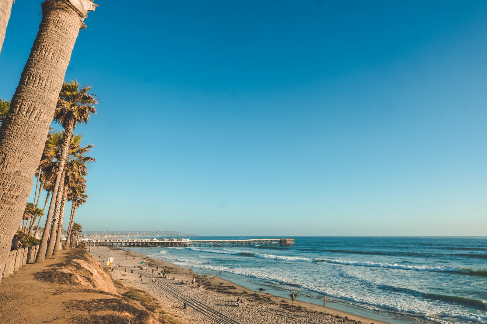 Palm trees and a sandy family-friendly beach in San Diego
