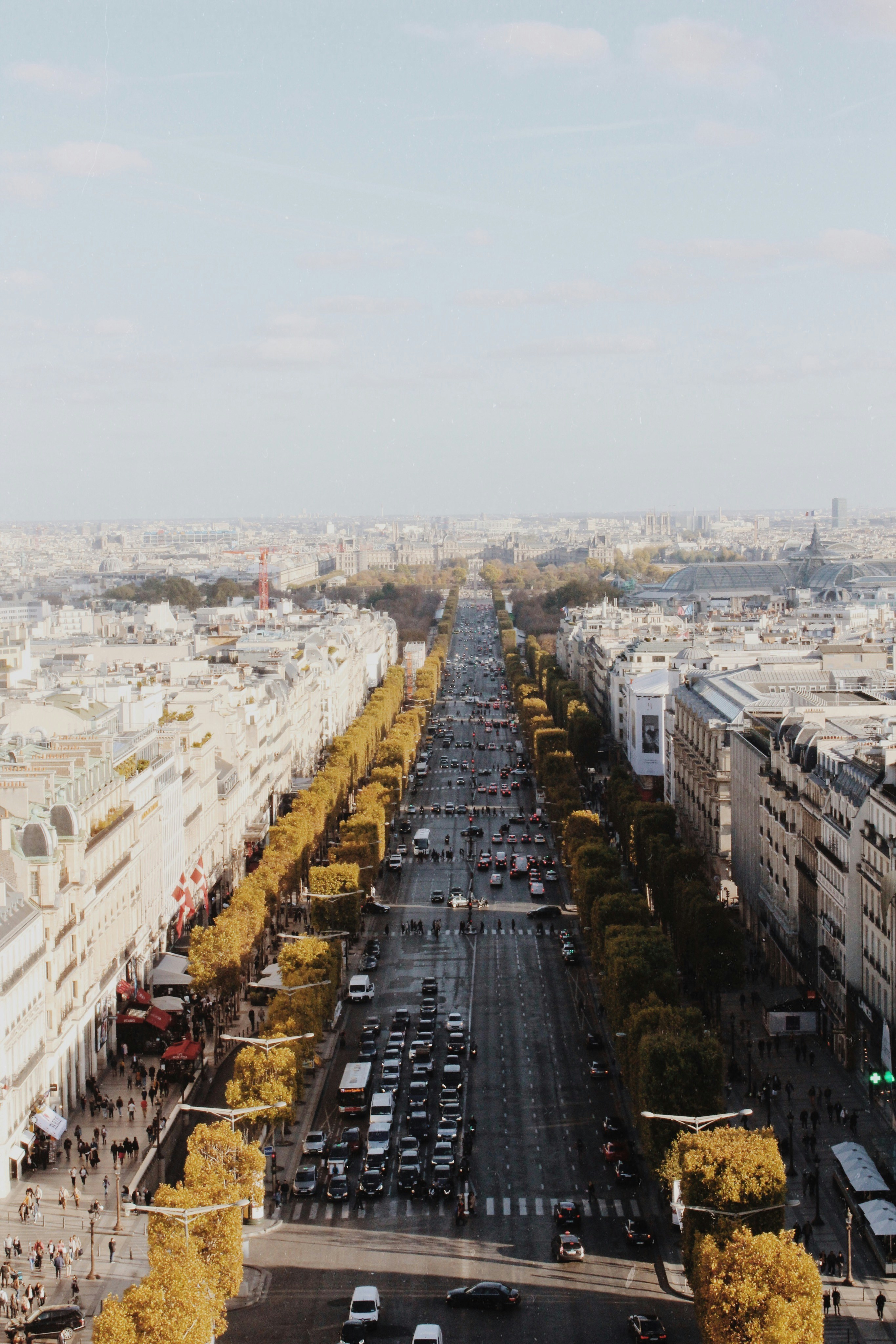 Una flotta aziendale efficiente ed ecologia con Fleet ed Eco:Drive Fleet