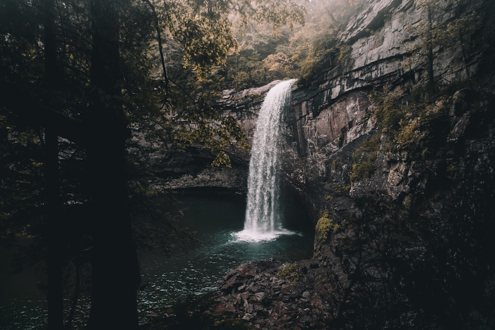 waterfalls between trees and grass