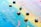 A canvas covered with overlapping vibrant colors such as blue, yellow, pink, and green, with a textured surface. Several small, square oil pastels or tiles are scattered on top of the painted canvas, adding a geometric element to the abstract background.