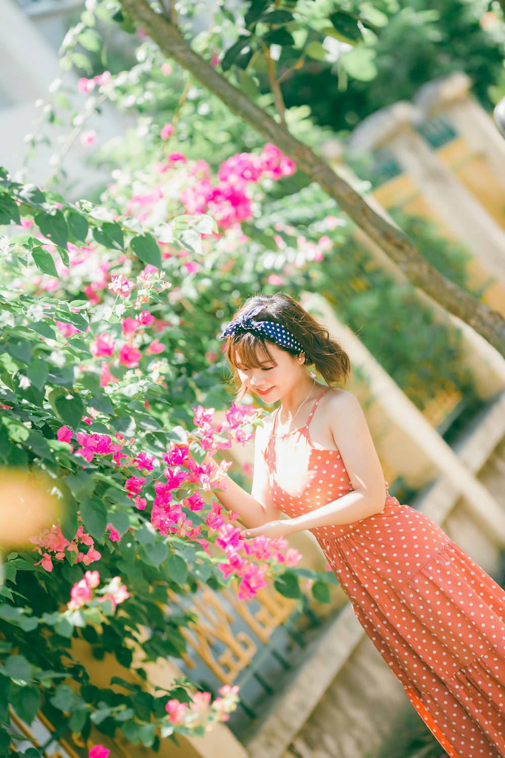 woman holding pink flowers