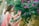 Two women in matching polka dot dresses are smiling at each other surrounded by vibrant pink flowers and lush green leaves. One woman gently touches the other's face, creating a warm and affectionate interaction.