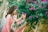 Two women in matching polka dot dresses are smiling at each other surrounded by vibrant pink flowers and lush green leaves. One woman gently touches the other's face, creating a warm and affectionate interaction.