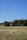 A pastoral scene featuring a herd of sheep in a grassy field with a person walking beside them and a dog nearby. In the background, there is a large telecommunications tower and a building partially obscured by trees under a clear blue sky.