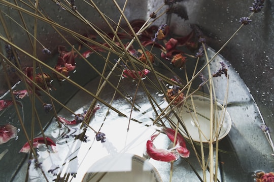 A variety of dried flowers, including lavender and red petals, are scattered over the surface of a metallic-looking tray filled with water. The image captures reflections and the details of the delicate flowers.