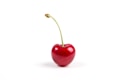 cherry fruit closeup photography