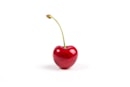 cherry fruit closeup photography