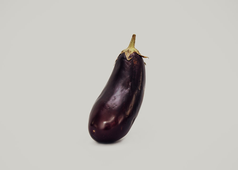 aubergine violette sur fond blanc