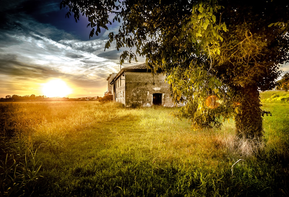 concrete house in the middle of grass field digital wallpaper