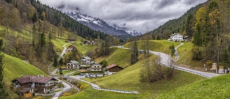 houses on green mountain surrounded with trees