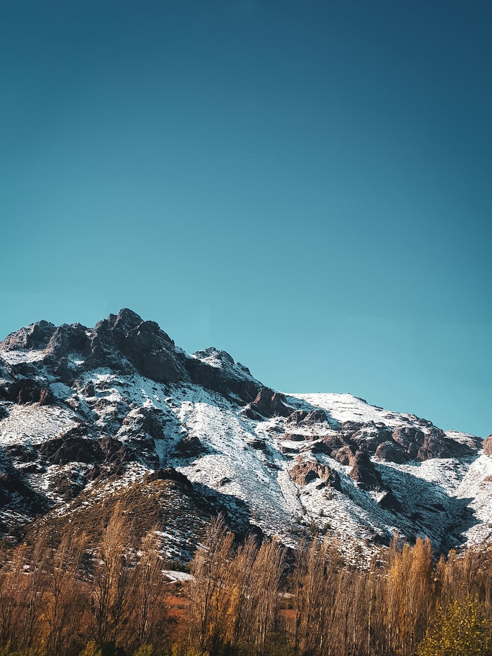 brown mountain covered by snow during daytime