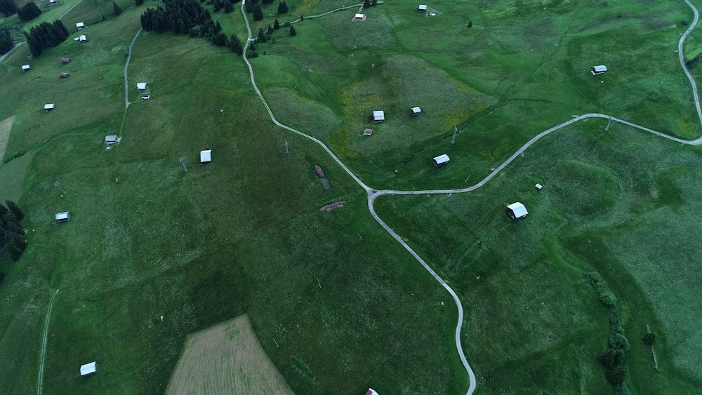 aerial view of green field