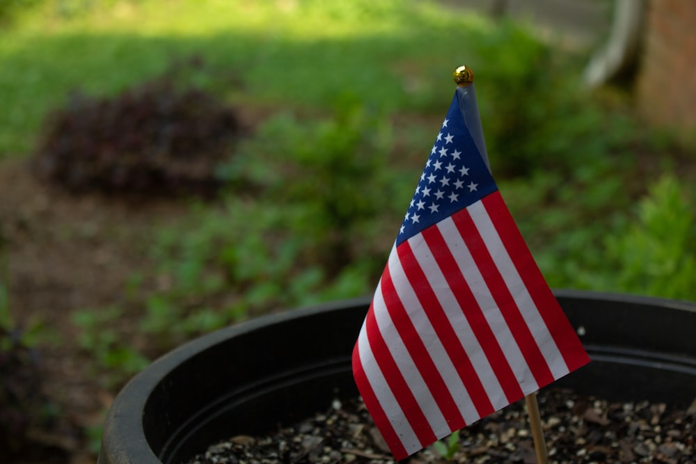 flag of U.S.A on plant pot