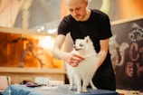 A person in a black shirt is grooming a small white dog on a table. The dog has fluffy fur and appears to be a Pomeranian. A comb is used in the grooming, and there are grooming tools visible on the table. The background features a chalkboard with some doodles and writing, and the setting seems to be a pet salon or a grooming space.