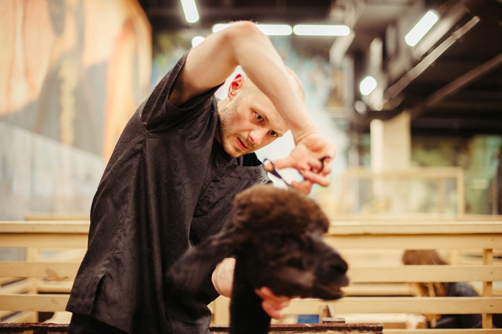 man cutting hair of goat