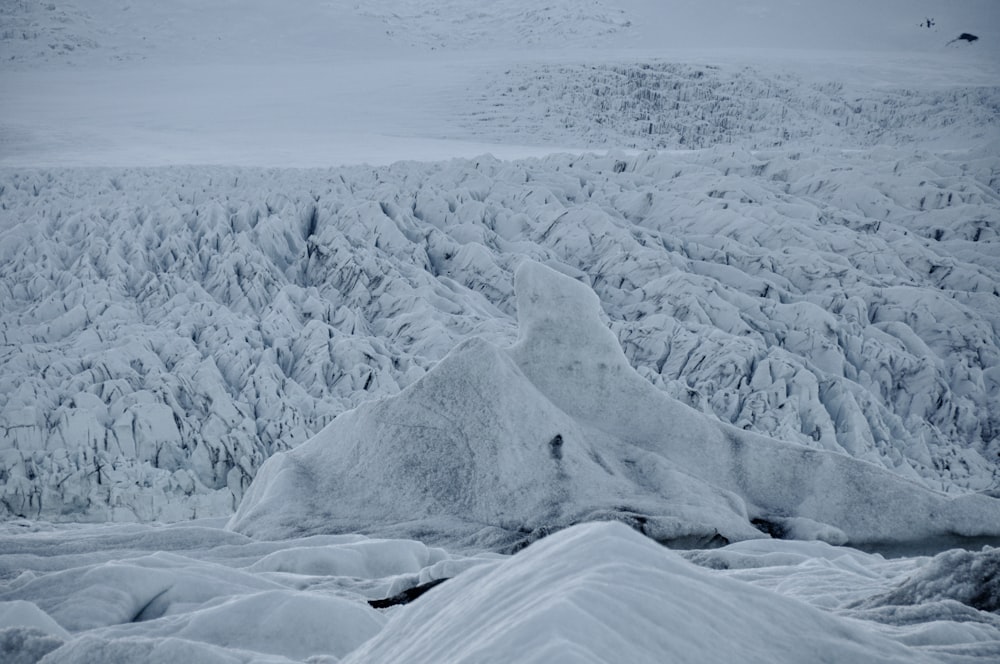 white snow field