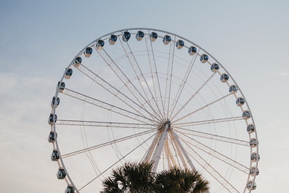 low-angle of white ferris wheel