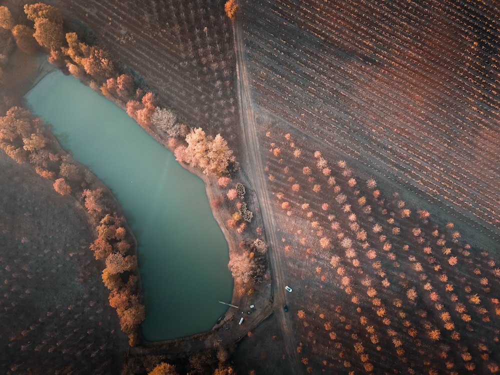 aerial photo of body of water during daytime