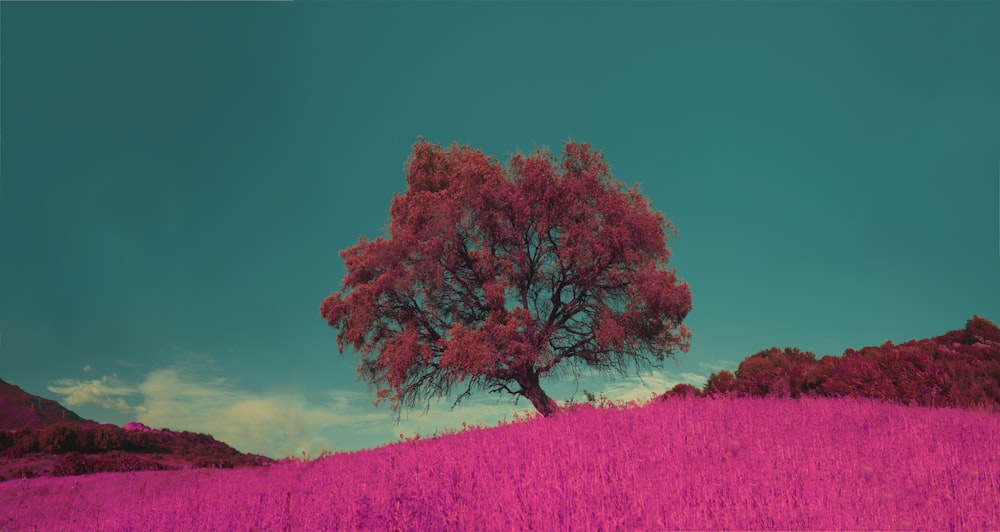 푸른 하늘 아래 분홍색 잎이 달린 나무