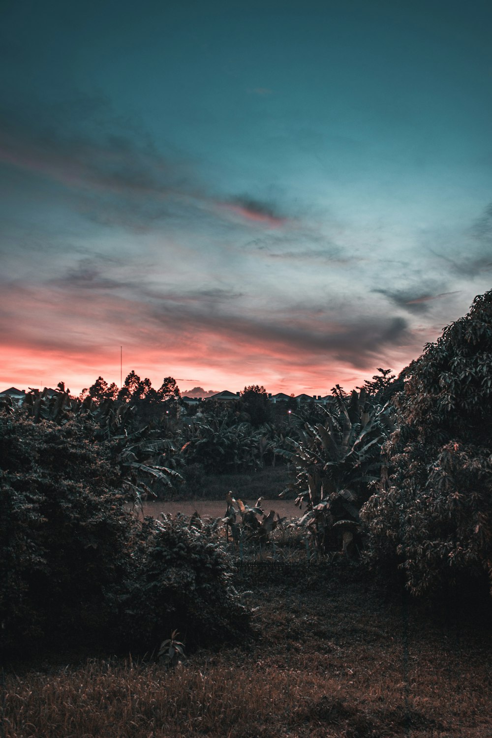 So many people taking beautfiul HD photo by Agustinus So many people taking beautfiul HD photo by Agustinus