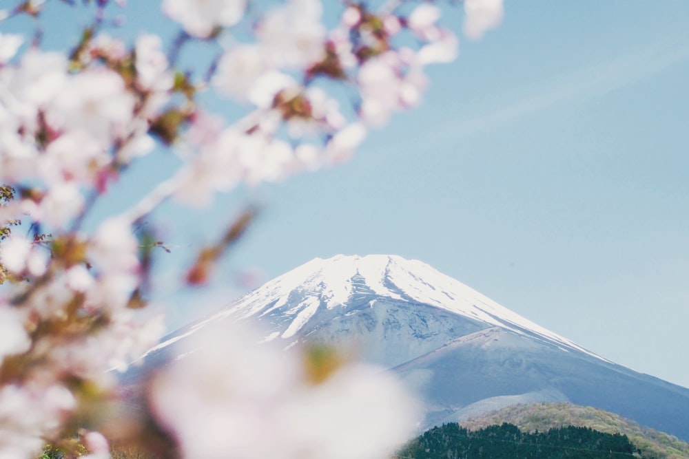 Mount Fuji, Japan