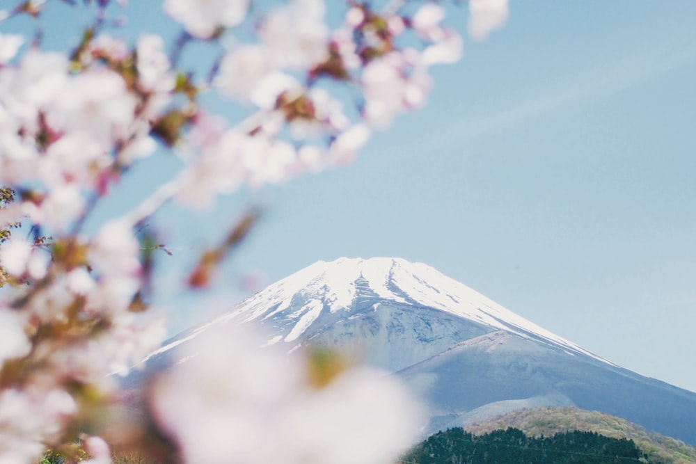 Berg Fuji, Japan