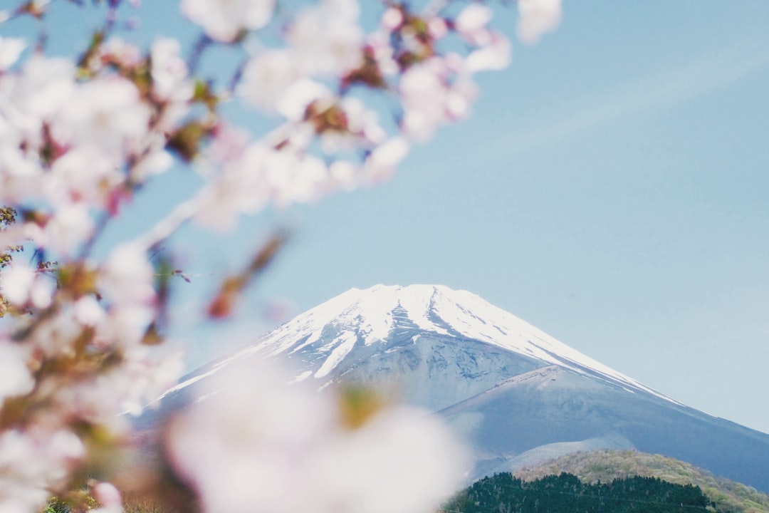 7 Best Cherry Blossom Viewing Spots in Japan for Spring Equinox 202… — 7 Best Cherry Blossom Viewing Spots