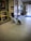 Two dogs are sitting on a tiled floor near the entrance of a station. They are leashed and appear to be waiting. In the background, there is a wall with brown and white tiles, a poster advertising a stadium tour, and a shop displaying flowers and gift items.