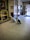 Two dogs are sitting on a tiled floor near the entrance of a station. They are leashed and appear to be waiting. In the background, there is a wall with brown and white tiles, a poster advertising a stadium tour, and a shop displaying flowers and gift items.