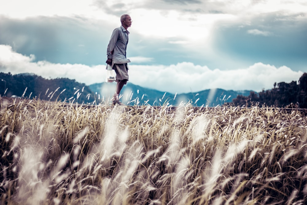 person walking on pathway beside plants during daytime