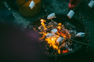 people grilling marshmallows