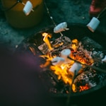 people grilling marshmallows