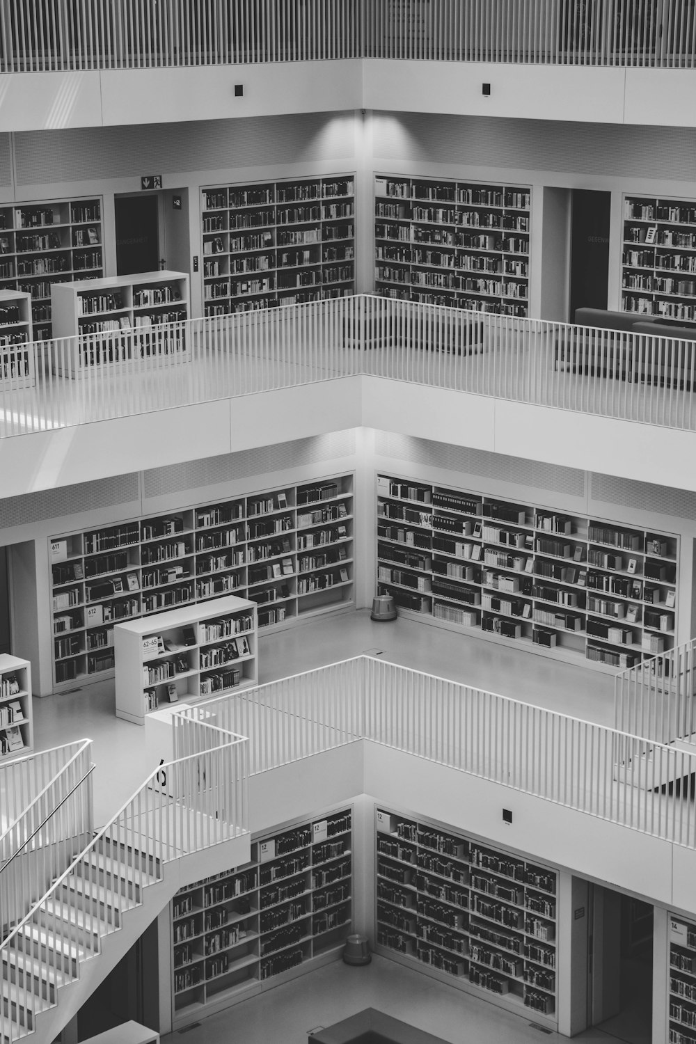 Foto in scala di grigi della biblioteca