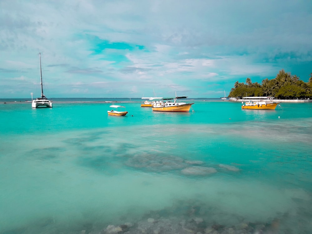 yellow and white boats on body of water