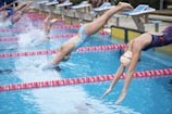 Several swimmers in competition dive into a swimming pool. They are wearing colorful swimwear and caps, and are in the midst of an athletic event, with droplets of water splashing as they enter the water. The scene captures the motion and excitement of the race.
