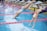 Several swimmers in competition dive into a swimming pool. They are wearing colorful swimwear and caps, and are in the midst of an athletic event, with droplets of water splashing as they enter the water. The scene captures the motion and excitement of the race.