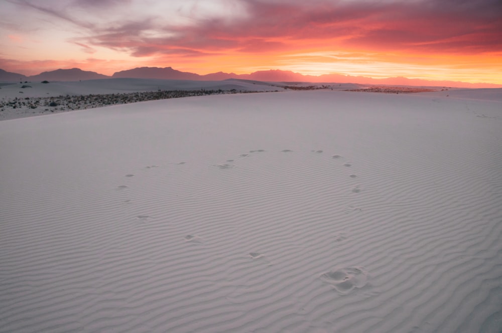 white dunes