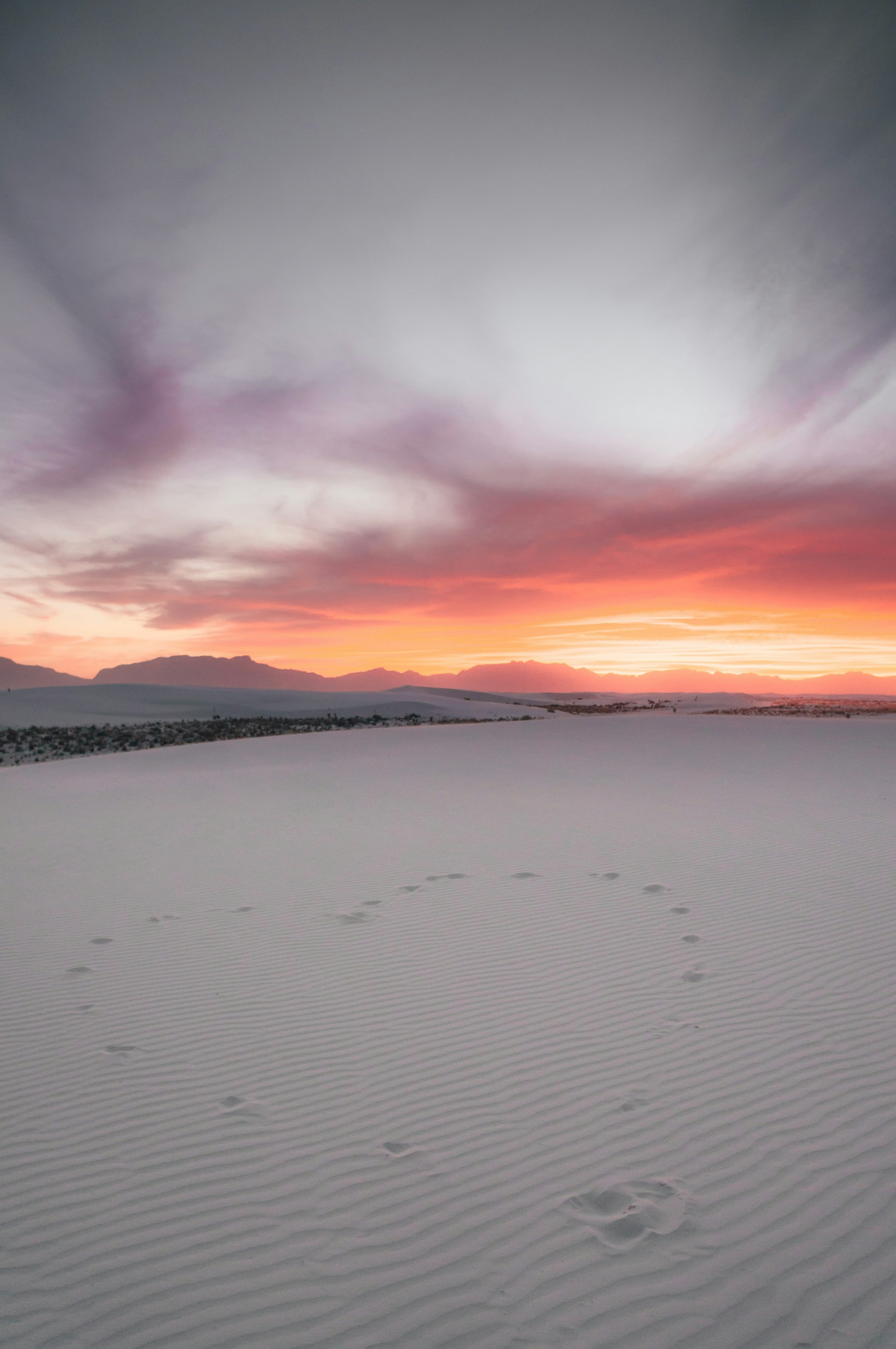 white desert during golden hour