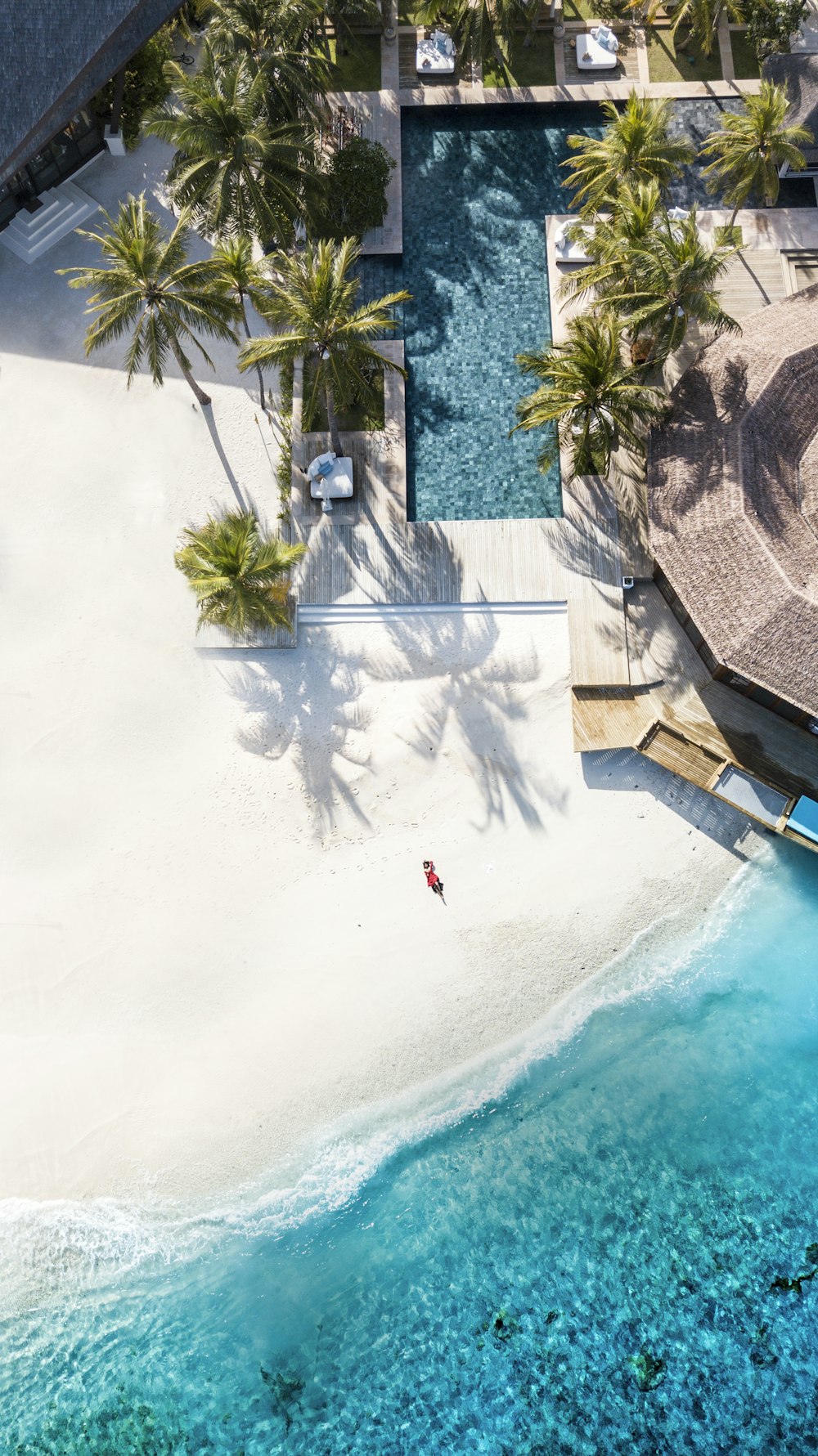 aerial view photography of seashore and pool