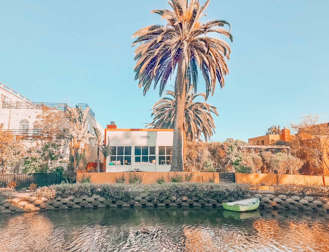 boat in body of water near palm tree