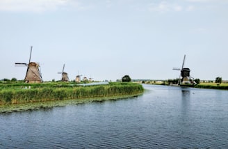 body of water beside green trees and wind mills