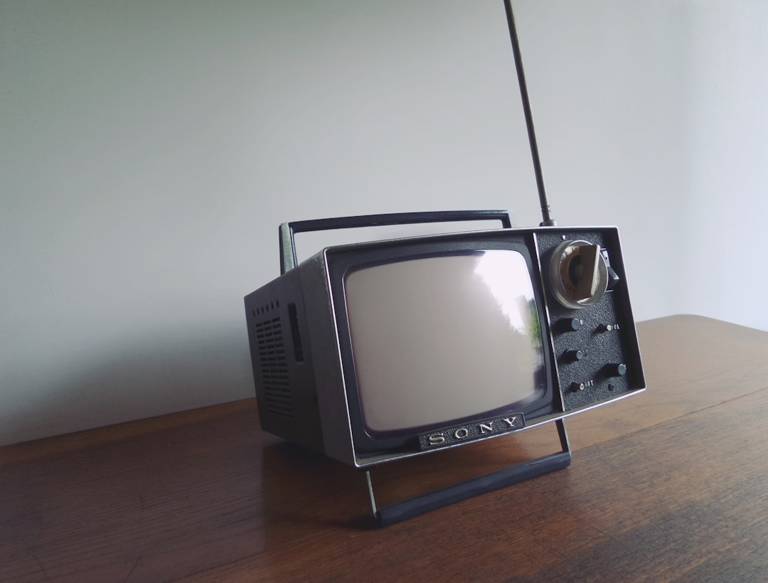 gray and black Sony portable mini television,