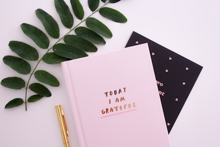 A pink notebook with the phrase 'Today I Am Grateful' is placed on a flat surface. Beside it, there is a black card with small heart patterns and mostly unreadable text. A gold pen lies next to the notebook. A branch with green leaves is also placed alongside, adding a natural element to the composition.