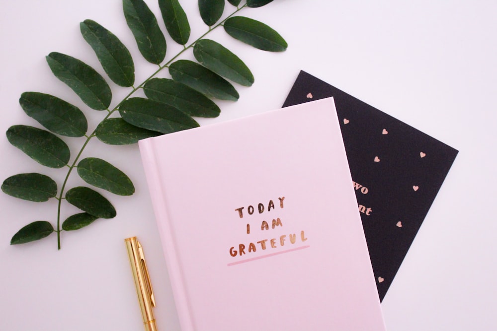 gratitude journal to help reduce stress