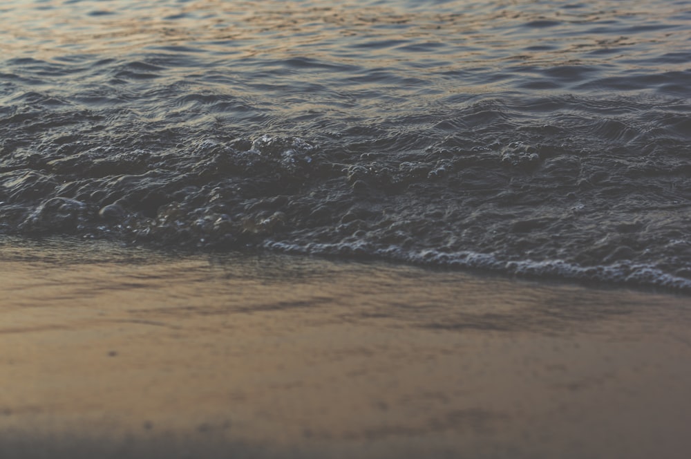 body of water near seashore