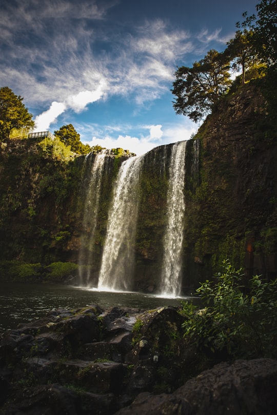 photo of Whangarei Falls Waterfall near Te Arai