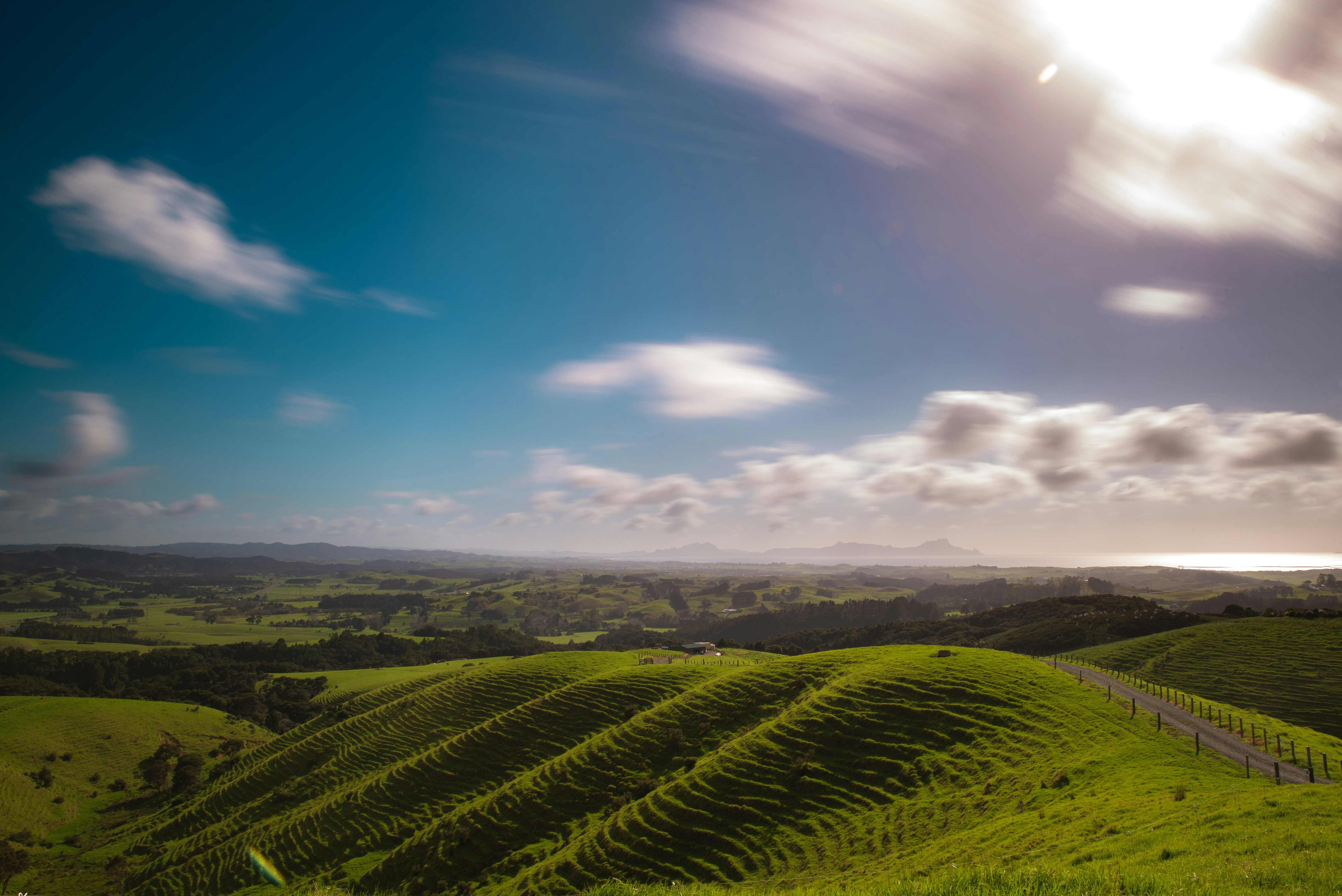 Photo by mischievous_penguins