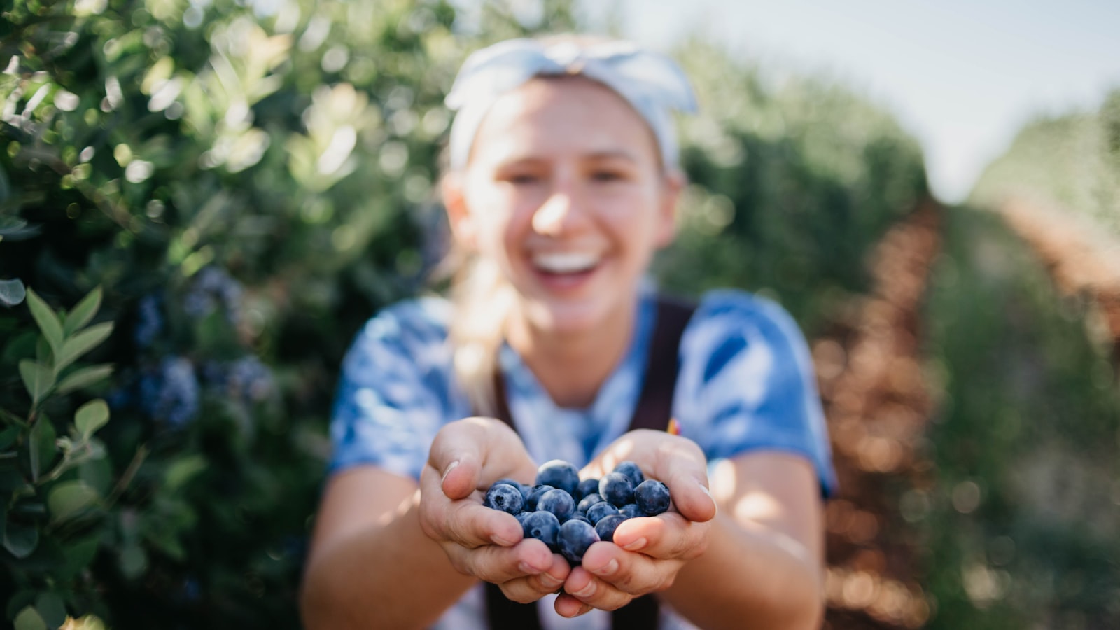 A Blossoming Blend: Cultivating Blueberries and Raspberries Side by Side