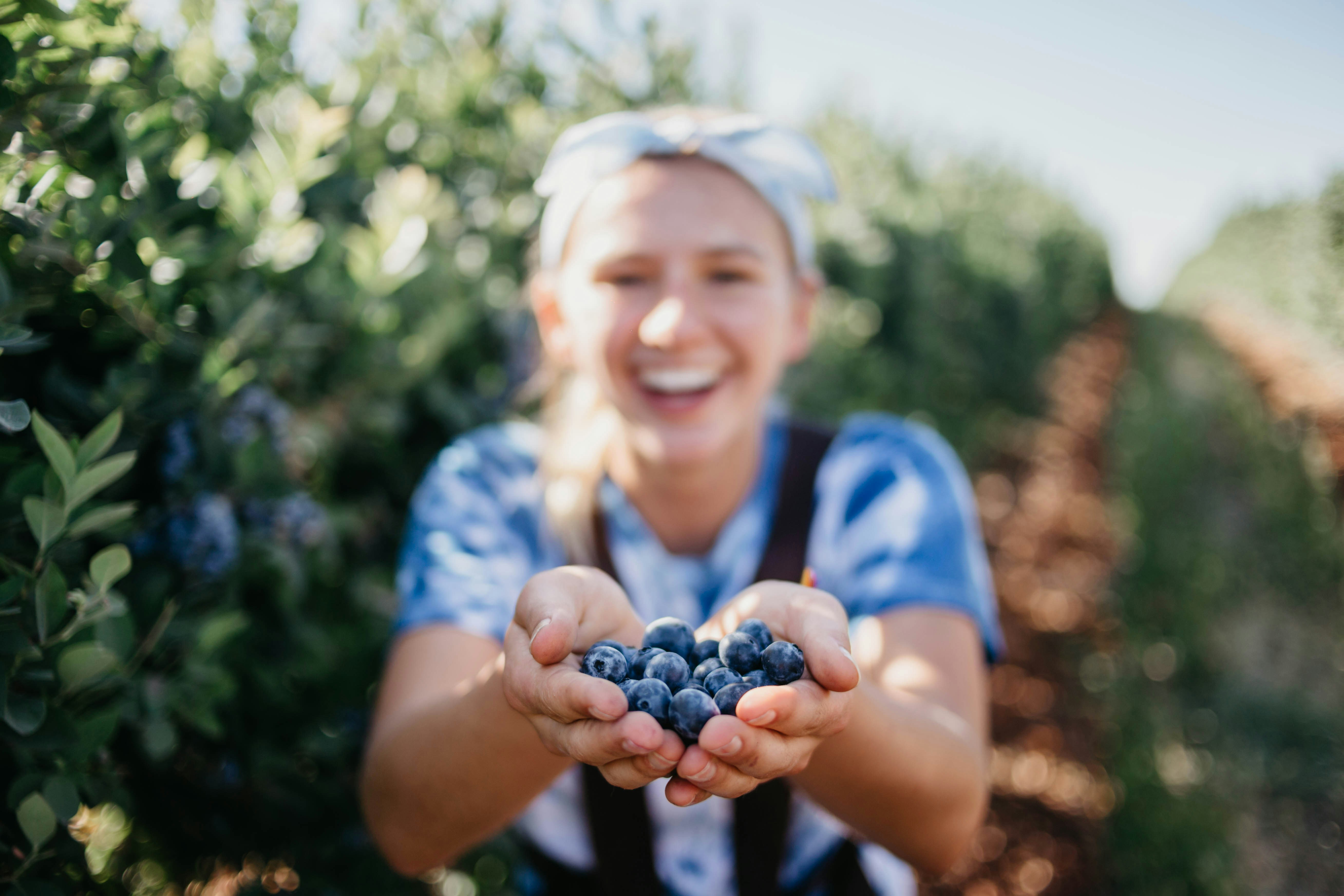 Fresh Local Blueberries for Sale