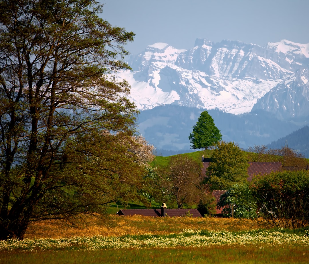 Nature reserve photo spot Hirzel Glegghorn